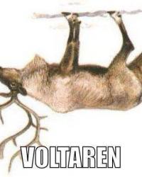 Logo fantacalcio Voltaren