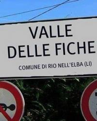 Logo fantacalcio Valle Delle Fiche FC