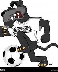 Logo fantacalcio Fc TERRABRUCIATA